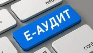 Е-аудит: новий формат податкового контролю українського бізнесу
